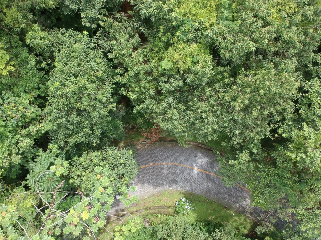 estrada da graciosa