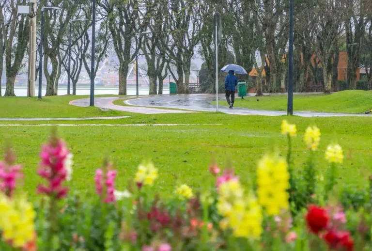 Primavera no Paraná